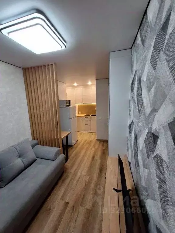 1-к кв. Алтайский край, Барнаул Докучаево мкр, ул. Шукшина (17.0 м) - Фото 2