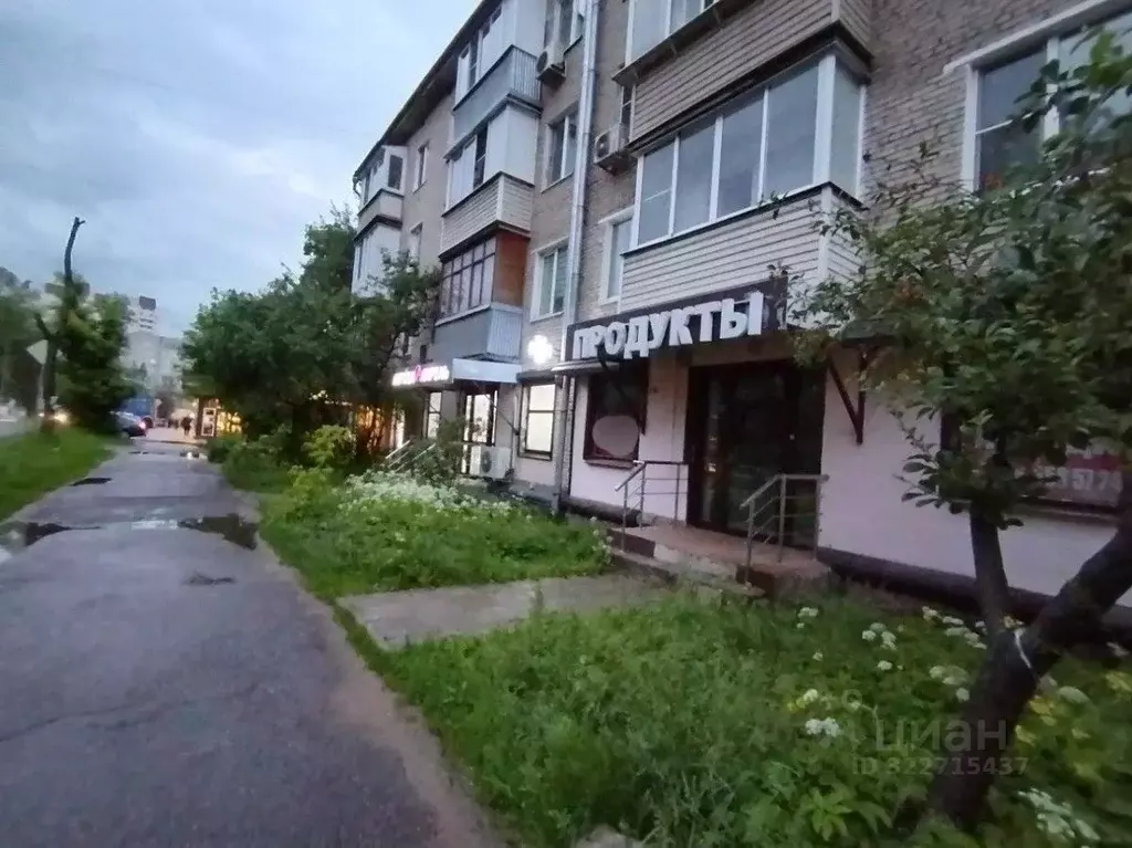 Помещение свободного назначения в Московская область, Балашиха ул. ... - Фото 2