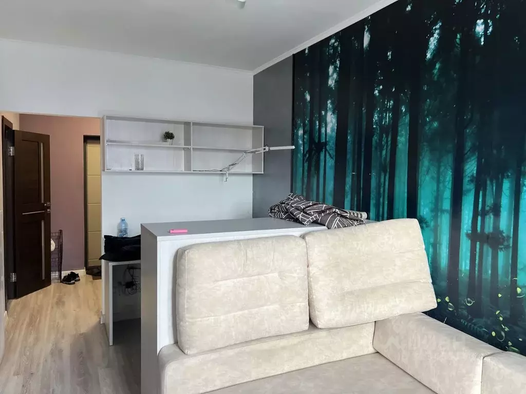 Студия Новосибирская область, Новосибирск Обская ул., 46 (30.0 м) - Фото 2