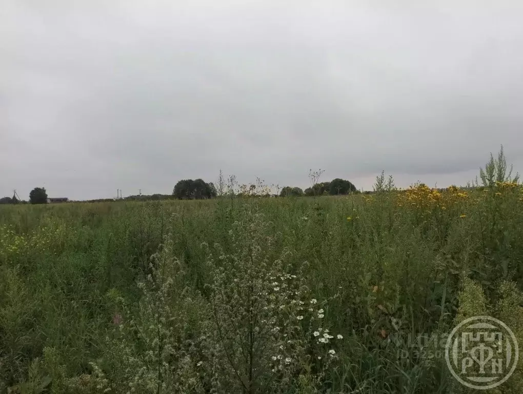 Участок в Ленинградская область, Лужский район, Ям-Тесовское с/пос, ... - Фото 1