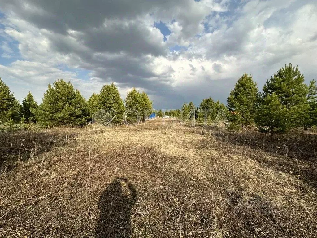 Участок в Тюменская область, Тюменский район, Новокаменский кп ул. ... - Фото 0