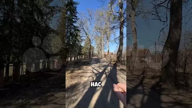 Участок 40 сот. (личное подсобное хозяйство (лпх)) - Фото 1