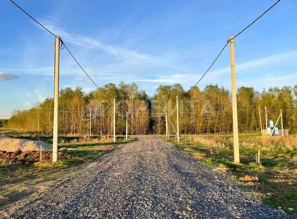 Участок в Тюменская область, Тюменский район, с. Каменка  (6.0 сот.) - Фото 1