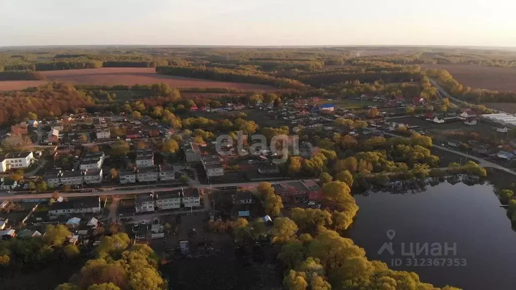 Дом в Калужская область, Ферзиковский район, Бебелевский сельсовет, д. ... - Фото 0