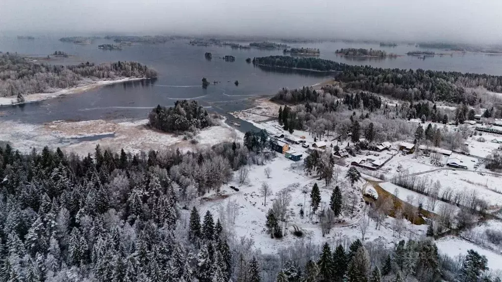 Участок в Ленинградская область, Приозерский район, Ларионовское ... - Фото 0