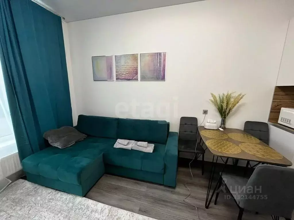 Студия Санкт-Петербург просп. Буденного, 13 (24.7 м) - Фото 2