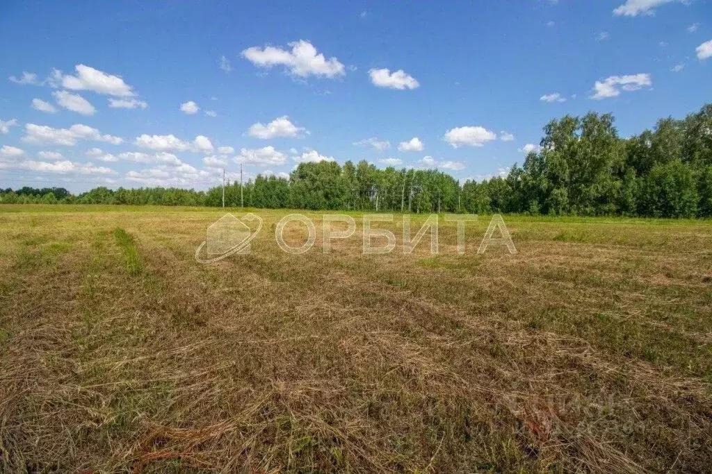 Участок в Тюменская область, Тюменский район, д. Криводанова ул. ... - Фото 1