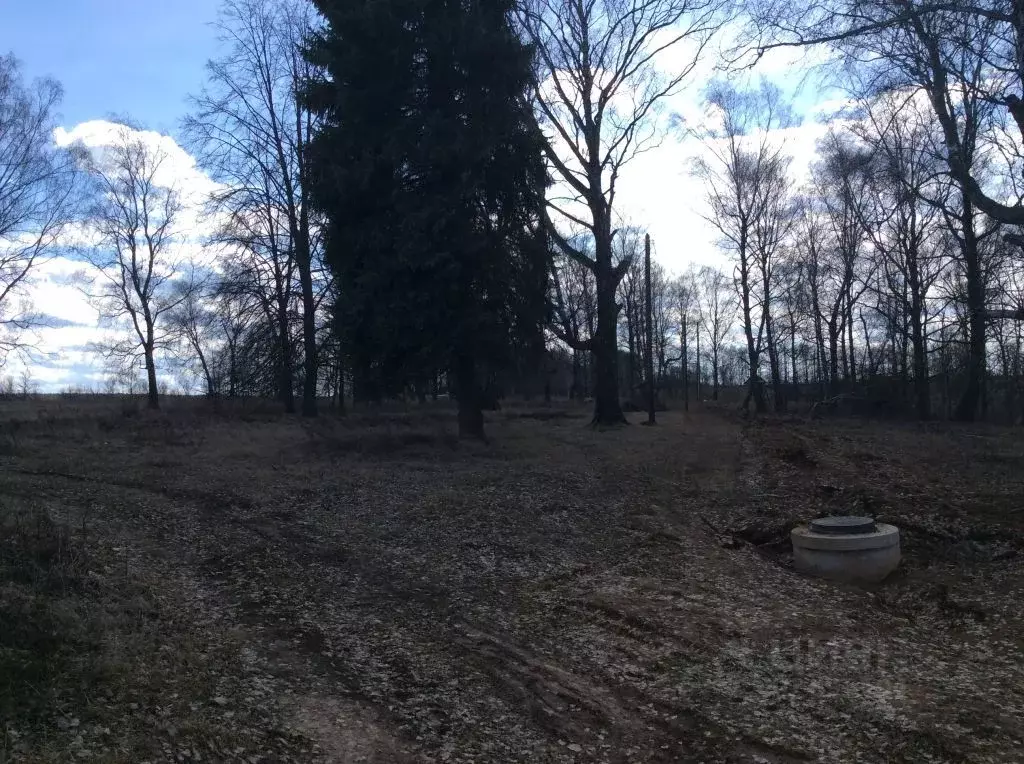 Участок в Нижегородская область, Богородский район, с. Алешково  (10.0 ... - Фото 0