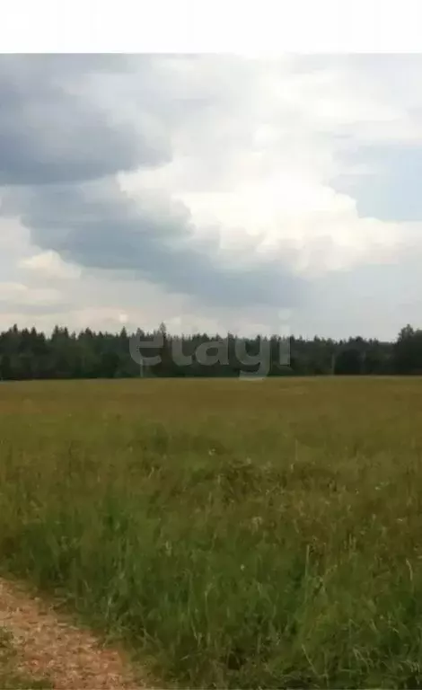 Участок в Красноярский район, сельское поселение Светлое Поле, СДТ ... - Фото 1