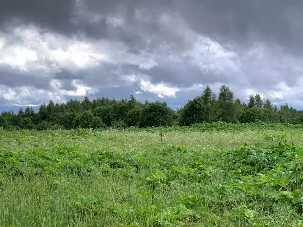 Участок в Московская область, Истра муниципальный округ, д. Деньково  ... - Фото 0