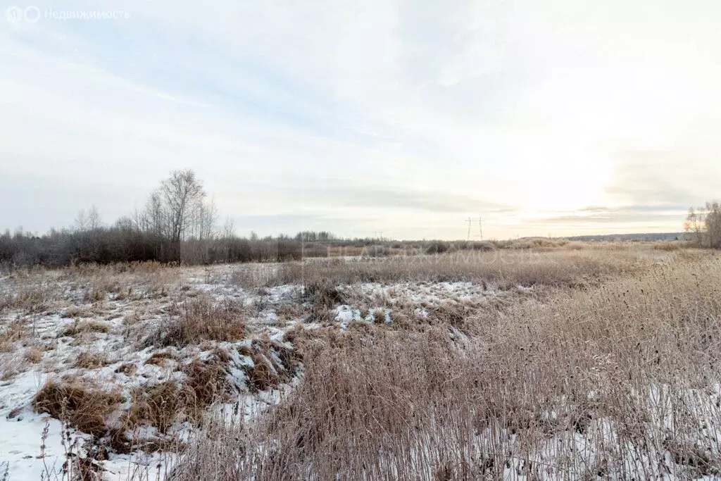 Участок в Тюмень (6.65 м) - Фото 1