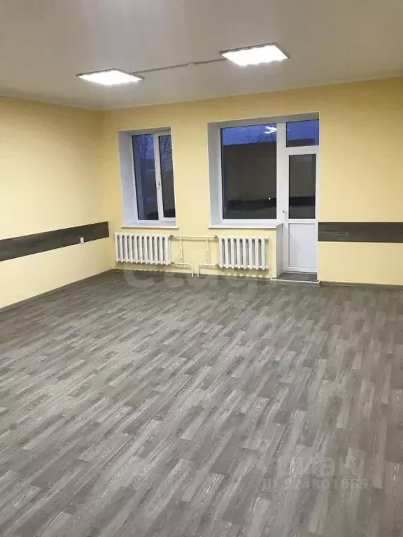 Офис в Амурская область, Благовещенск ул. Мухина, 31 (55 м) - Фото 1