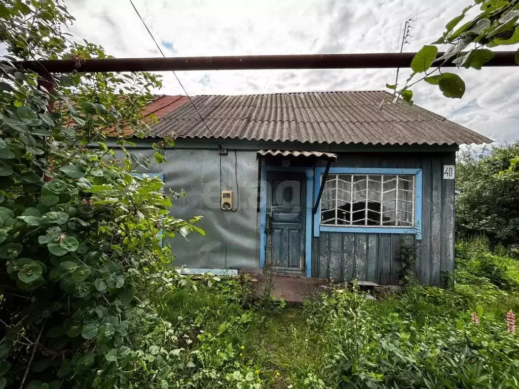 Дом в Тамбовская область, с. Сампур ул. 40 лет Октября, 40 (53 м) - Фото 1