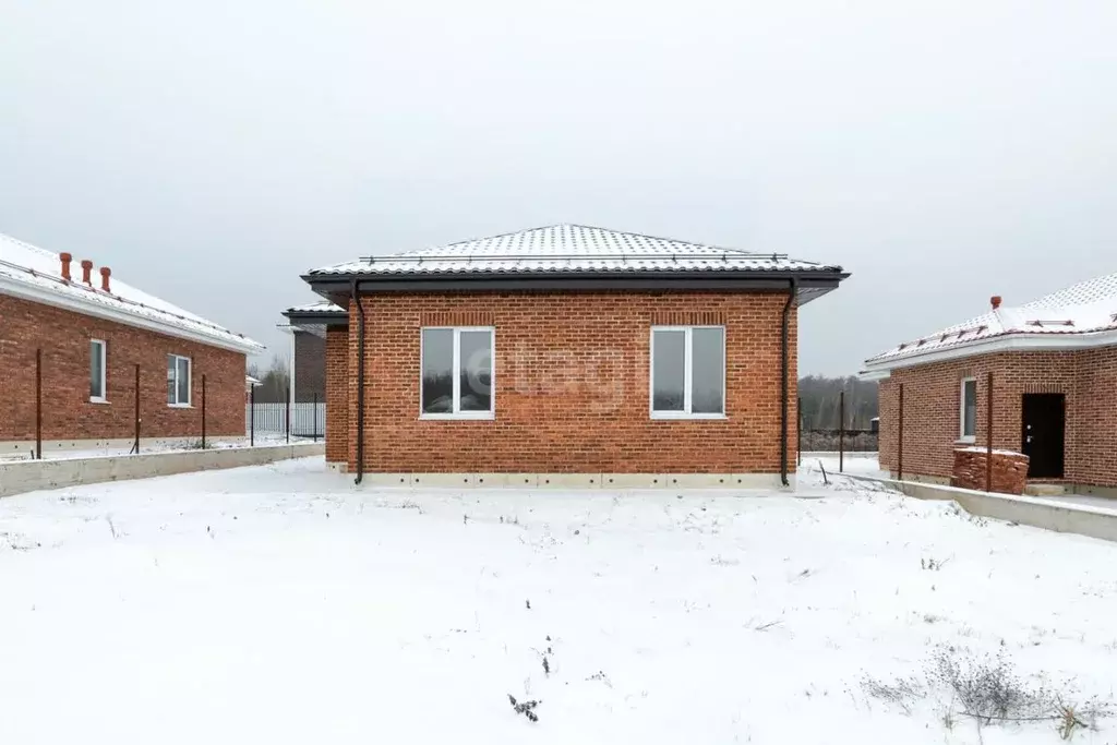 Дом в Московская область, Домодедово городской округ, с. Битягово, ... - Фото 1