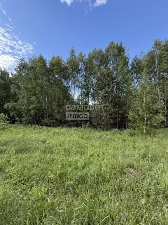 Участок в Московская область, Павлово-Посадский городской округ, д. ... - Фото 2