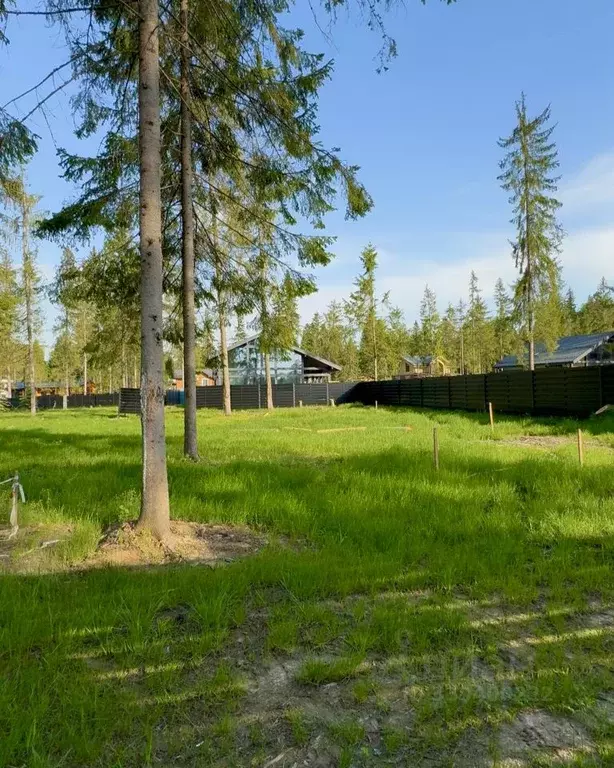 Участок в Московская область, Клин городской округ, Ели Эстейт ... - Фото 1