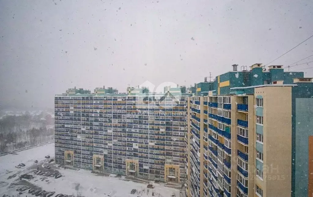 1-к кв. Новосибирская область, Новосибирск ул. Одоевского, 1/10 (33.0 ... - Фото 1