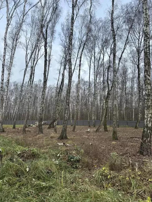 Участок в Московская область, Домодедово КП Данилово Парк тер., 283 ... - Фото 1