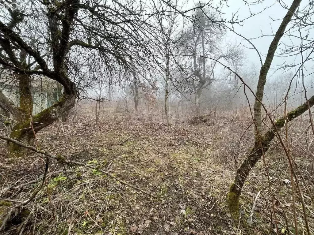 Участок в Нальчик, СТ Эльбрус (5.9 м) - Фото 2