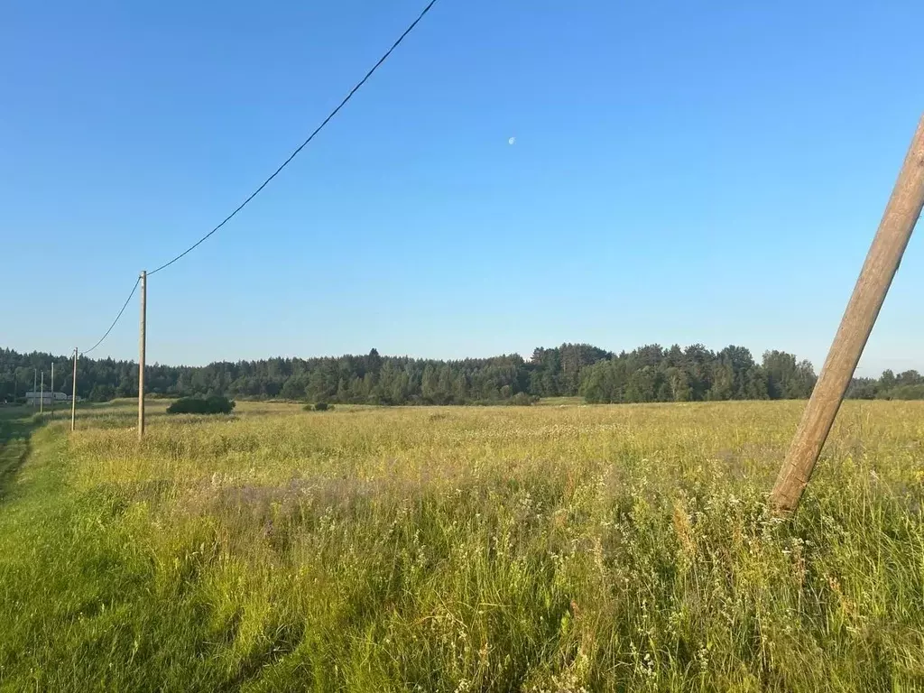 Участок в Ленинградская область, Выборгский район, Каменногорское ... - Фото 2