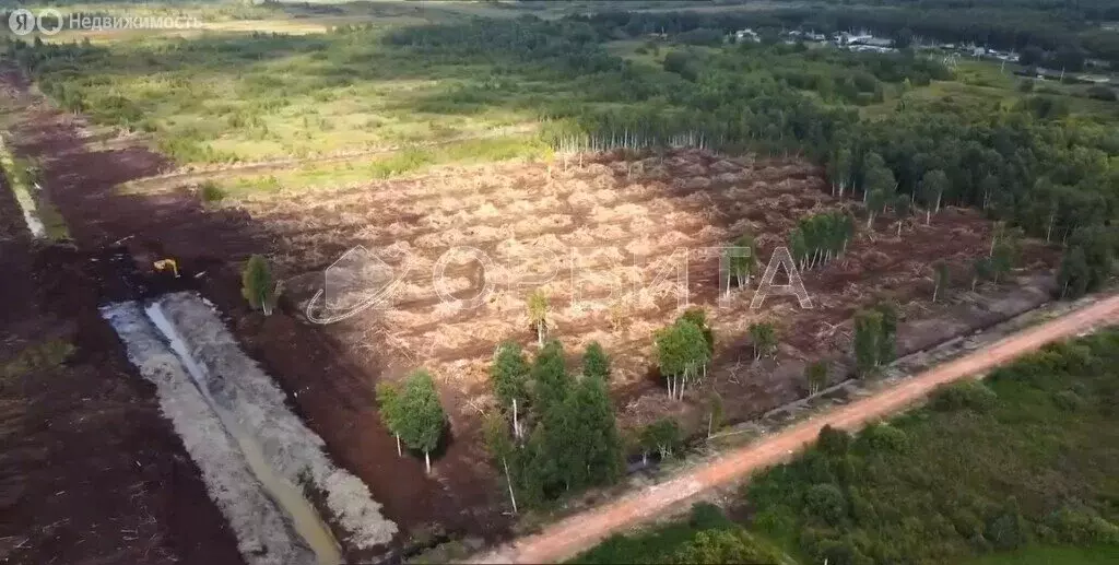 Участок в Тюменская область, Нижнетавдинский муниципальный округ, ТСН ... - Фото 2