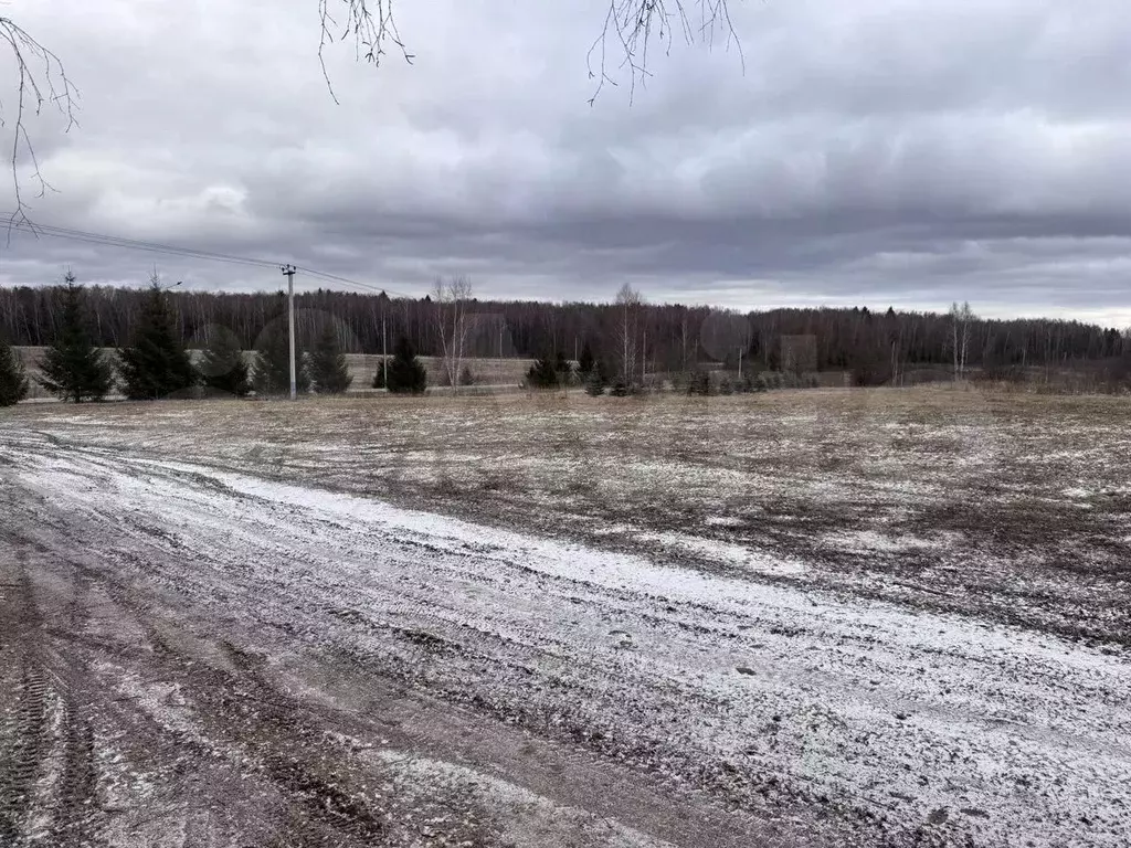 Участок в Калужская область, Жуковский муниципальный округ, д. ... - Фото 2