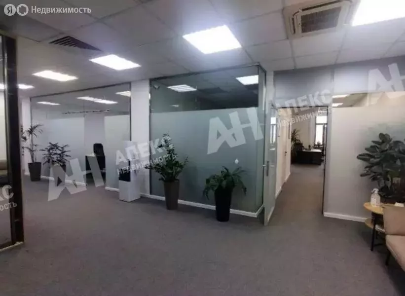 Офис (290 м) - Фото 2