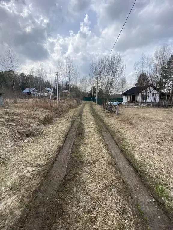 Купить Дом В Д Райки