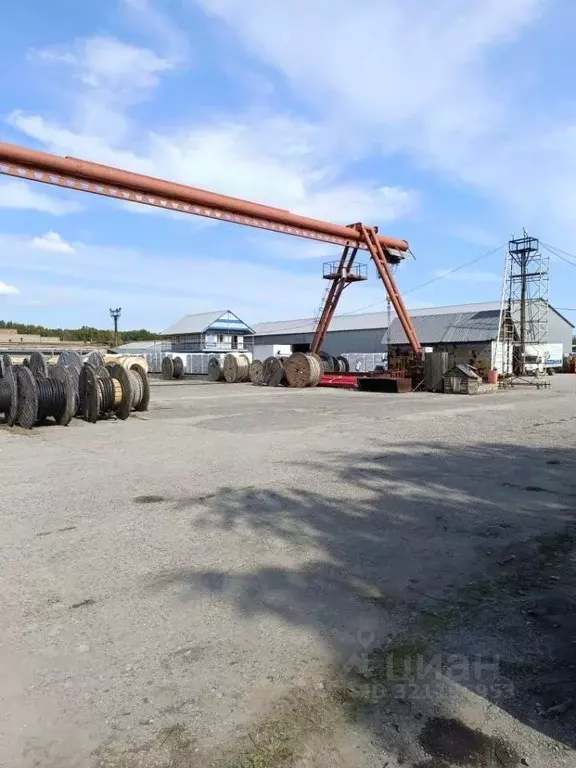 Склад в Новосибирская область, Новосибирск Толмачевская ул., 45/5 (600 ... - Фото 2