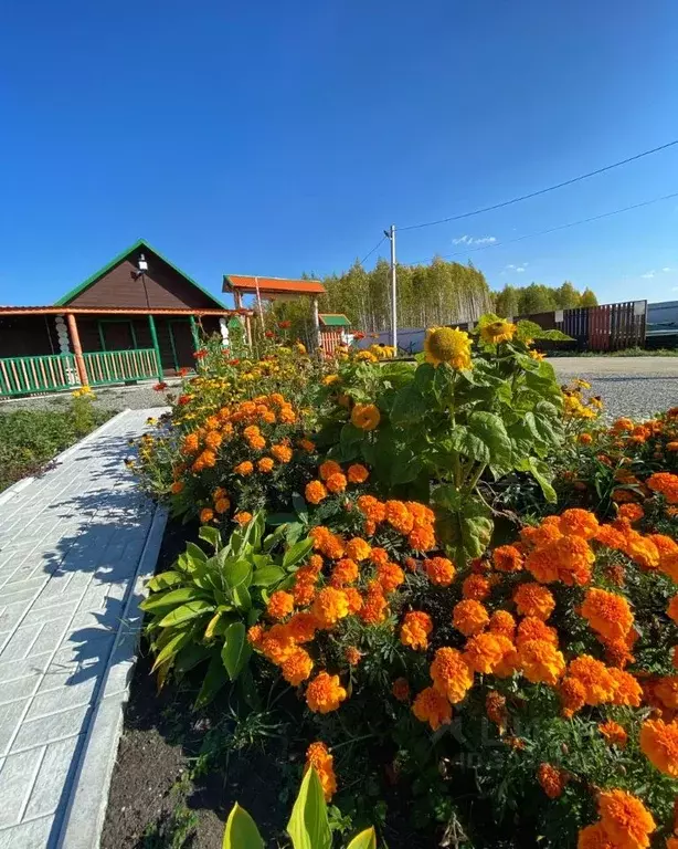 Участок в Свердловская область, Екатеринбург Челябинский тракт, 19-й ... - Фото 2