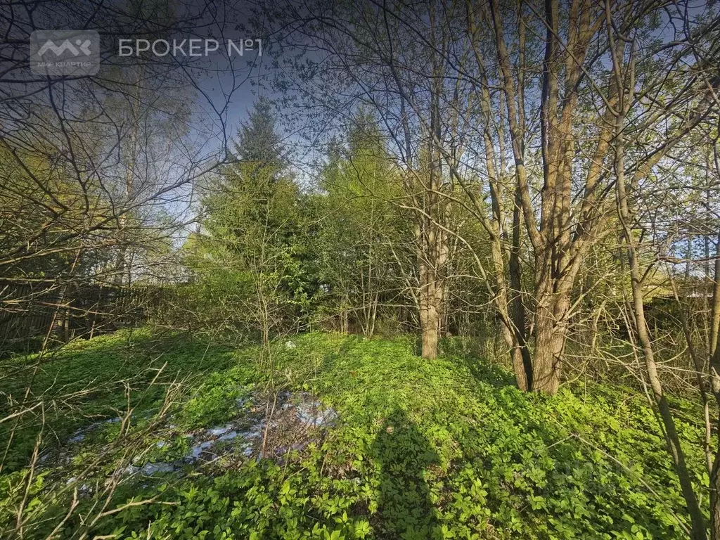 Участок в Санкт-Петербург пос. Парголово, Ключевая ул. (11.0 сот.) - Фото 2