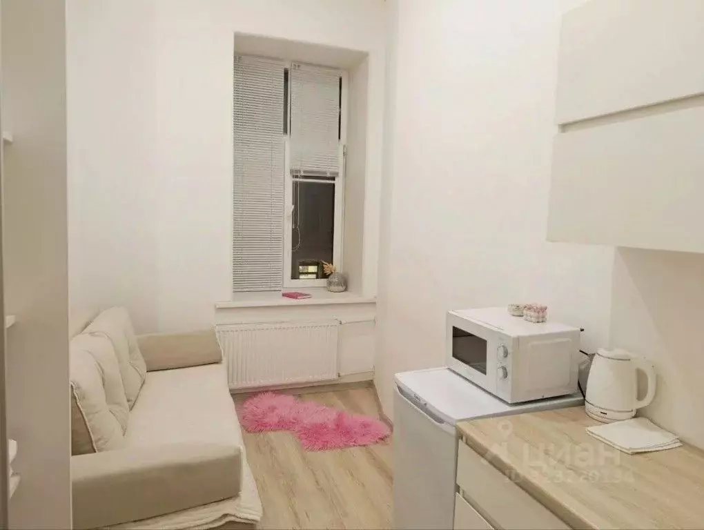 1-к кв. Санкт-Петербург Конная ул., 20/6 (15.0 м) - Фото 1