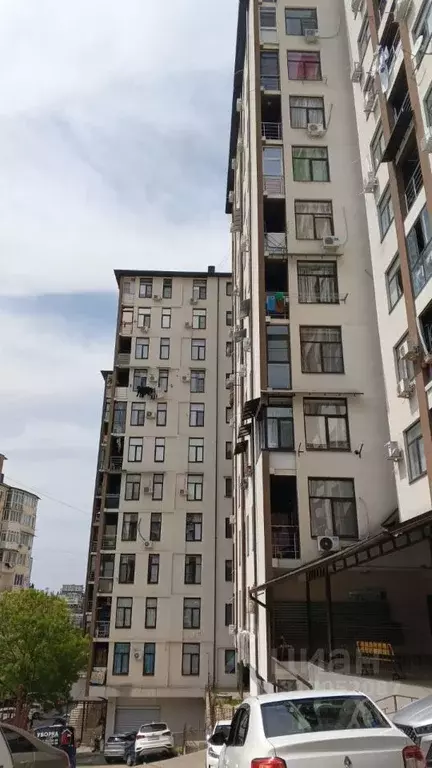 Студия Краснодарский край, Сочи Донская мкр, пер. Чехова, 8 (15.8 м) - Фото 0