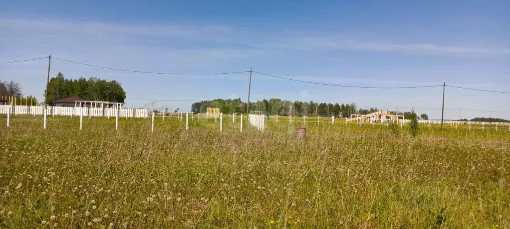 Участок в Красноярский край, Емельяновский район, Устюгский сельсовет, ... - Фото 2