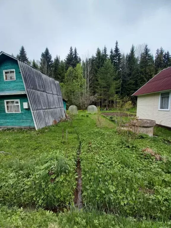 Участок в Ярославская область, Угличский муниципальный округ, ... - Фото 2