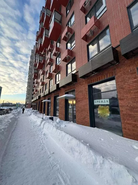 Помещение свободного назначения в Татарстан, Казань ул. Анаса ... - Фото 1