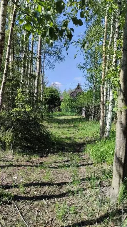 Участок в Ленинградская область, Всеволожское городское поселение, ... - Фото 0