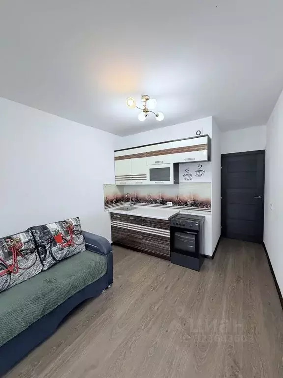 Студия Санкт-Петербург ул. Летчика Лихолетова, 14к4 (24.8 м) - Фото 1