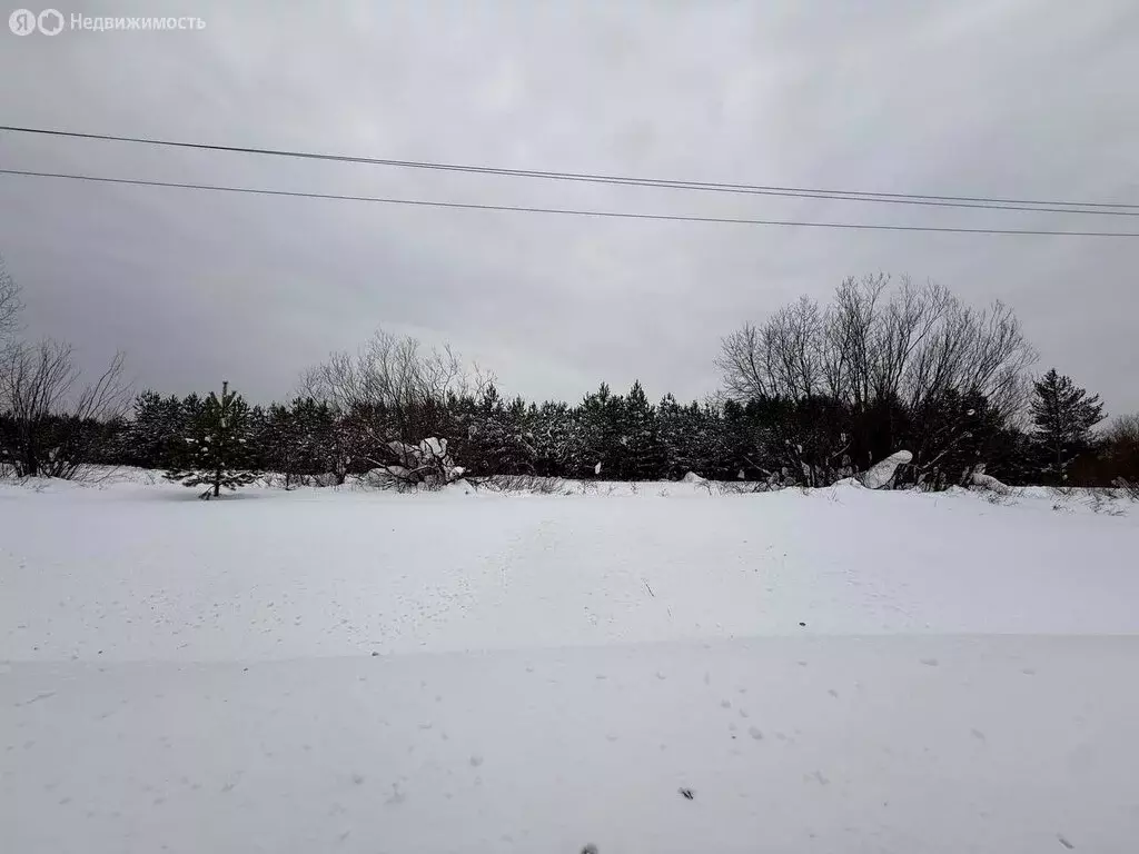 Участок в Пасеговское сельское поселение, деревня Салтыки (20 м) - Фото 2