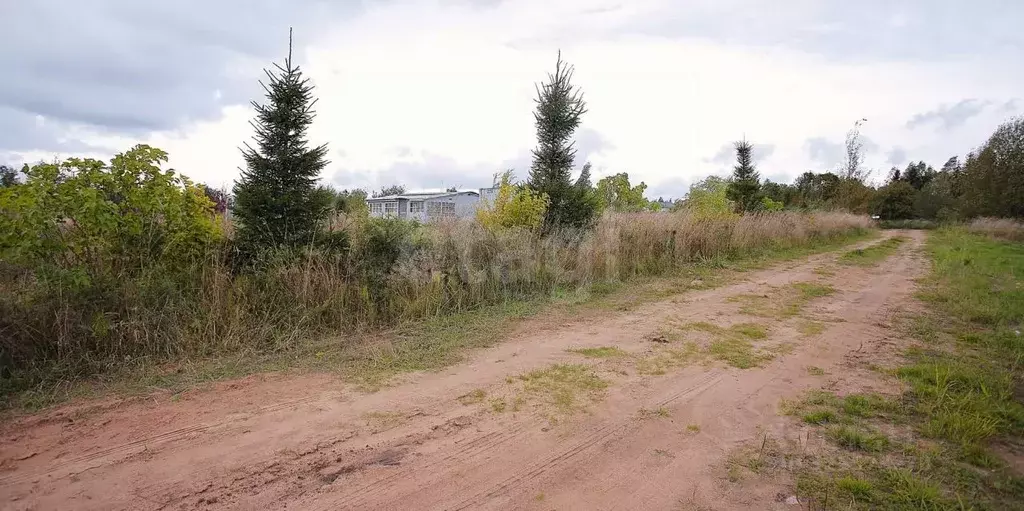 Участок в Ленинградская область, Кингисеппский район, Нежновское ... - Фото 1