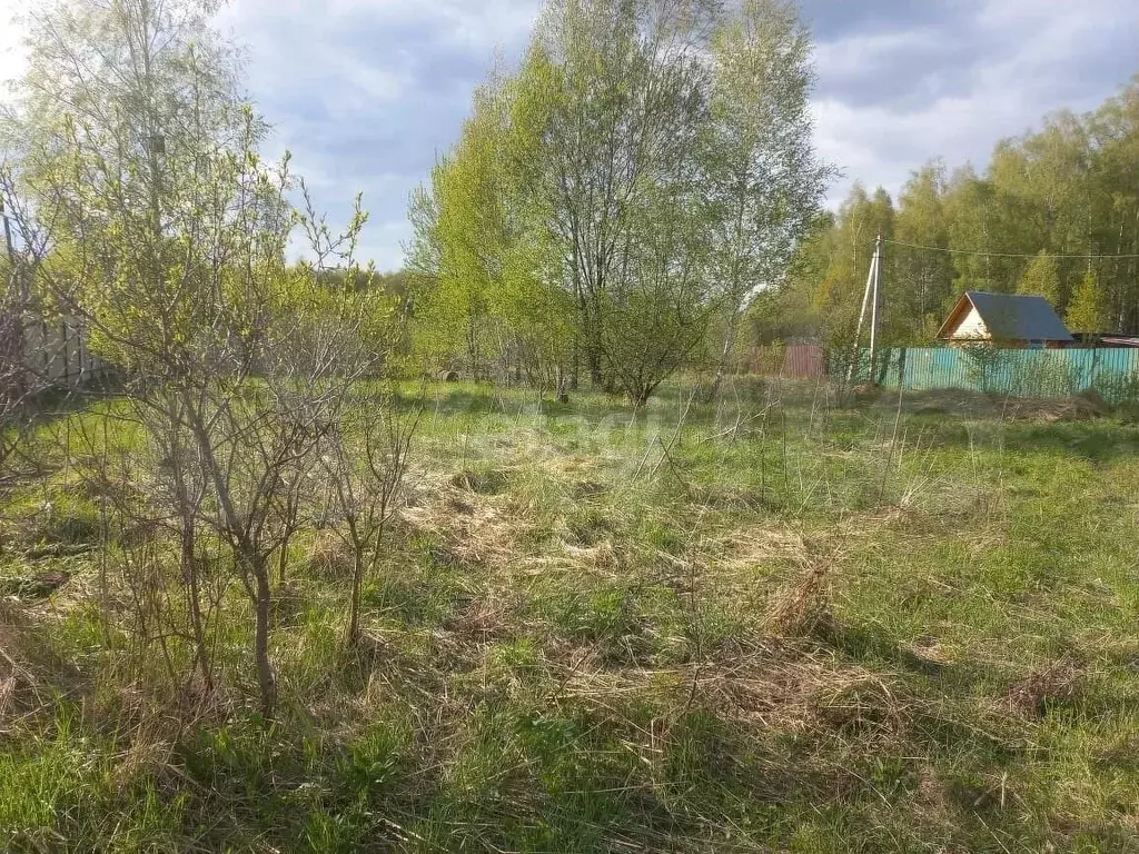 Участок 10 сот. (СНТ, ДНП) - Фото 0