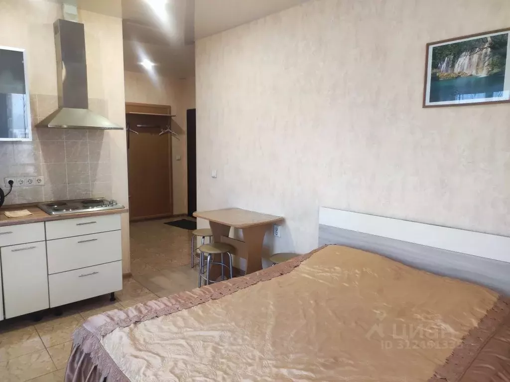 1-к кв. Иркутская область, Иркутск ул. 25 Октября, 20 (25.0 м) - Фото 1