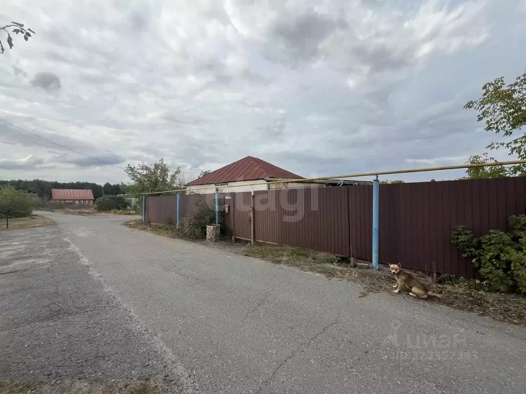 Дом в Белгородская область, Старооскольский городской округ, с. ... - Фото 2