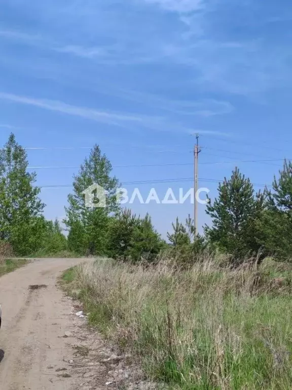 Участок в Иркутская область, Шелеховский район, Баклашинское ... - Фото 2