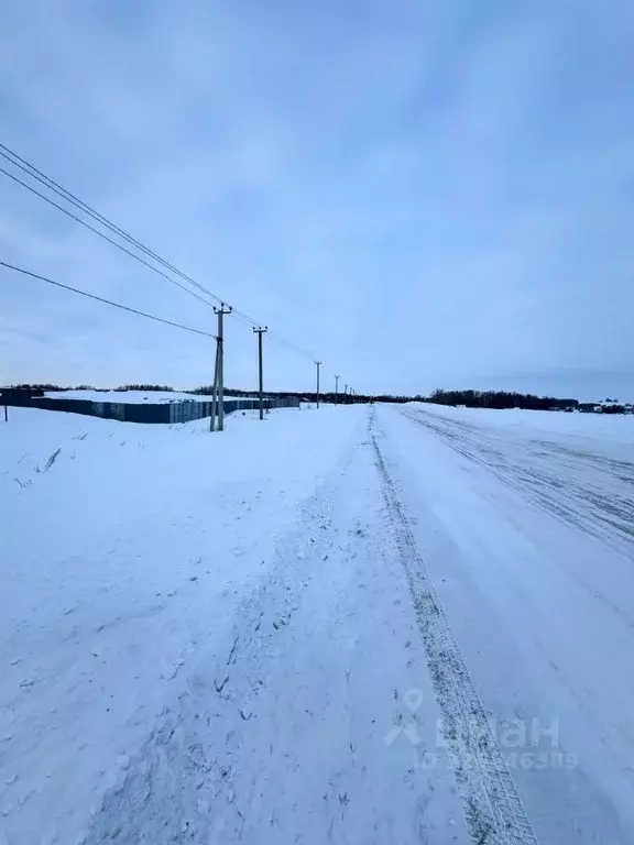 Участок в Татарстан, Арский район, Янга-Салское с/пос, д. Каенсар  ... - Фото 2