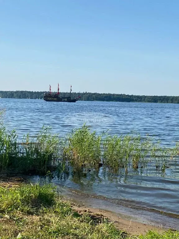Продается участок в д. Пестово - Фото 1