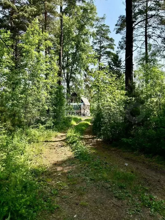 Дом 54 м на участке 12 сот. - Фото 0