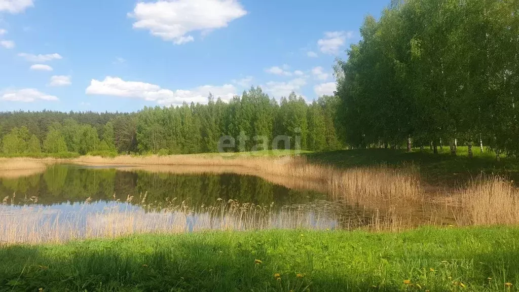 Дом в Псковская область, Пушкиногорский муниципальный округ, д. ... - Фото 1