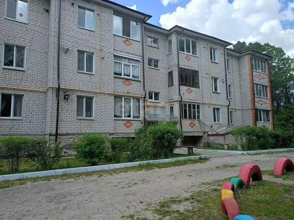 1-к кв. Брянская область, Навлинский район, пос. Синезерки ул. ... - Фото 1