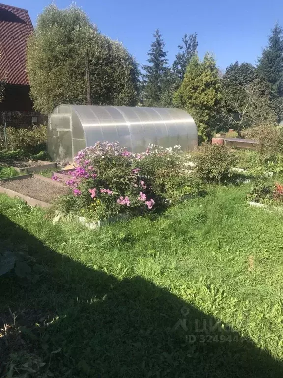 Участок в Ленинградская область, Кировское городское поселение, ... - Фото 2